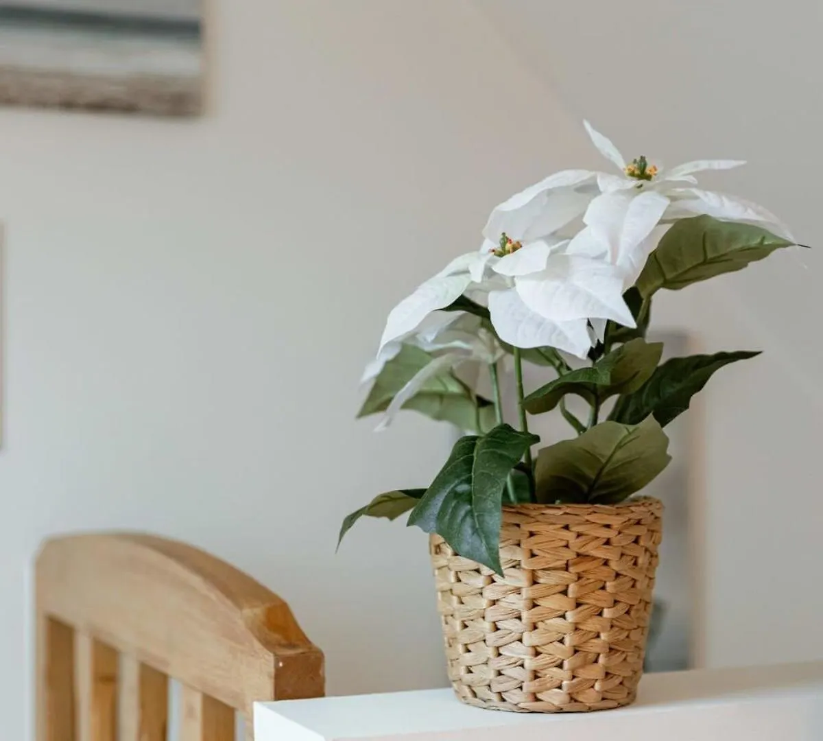Huswell - Bright Duplex Apartment Close To The Sea Ostende